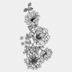 Meet your Posher, Risi